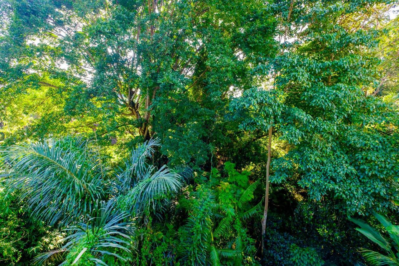 Bali Ubud Harmony מראה חיצוני תמונה